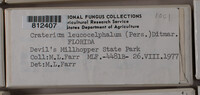 Image Associated With the Occurence